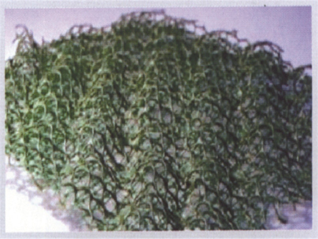 三维土工网垫