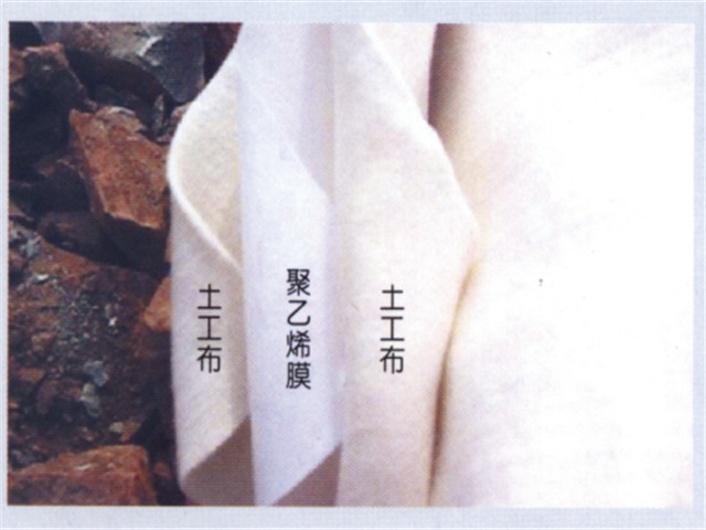 复合土工膜（两布一膜）